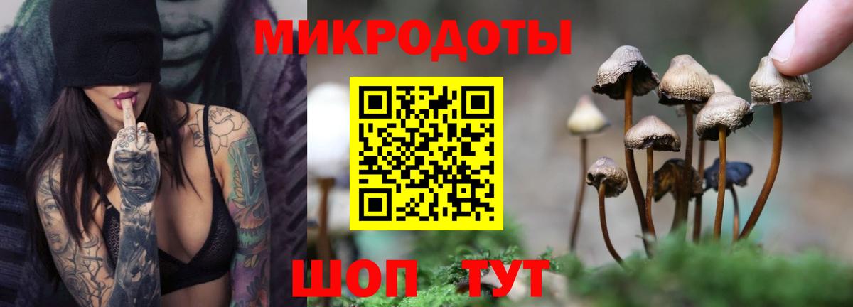 Псилоцибиновые грибы Cubensis  Псилоцибиновые грибы Psilocybe  Вход с VPN  Мелеуз 
